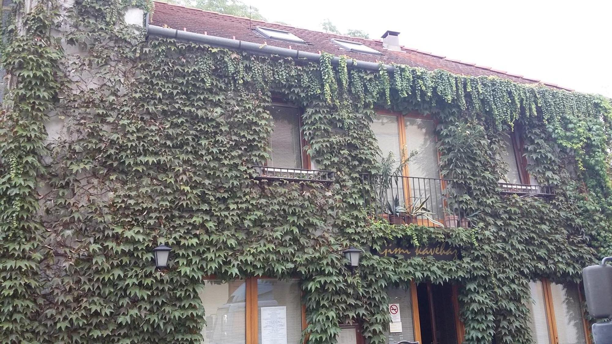Gimi Vendeghaz Hotel Baja Exterior photo